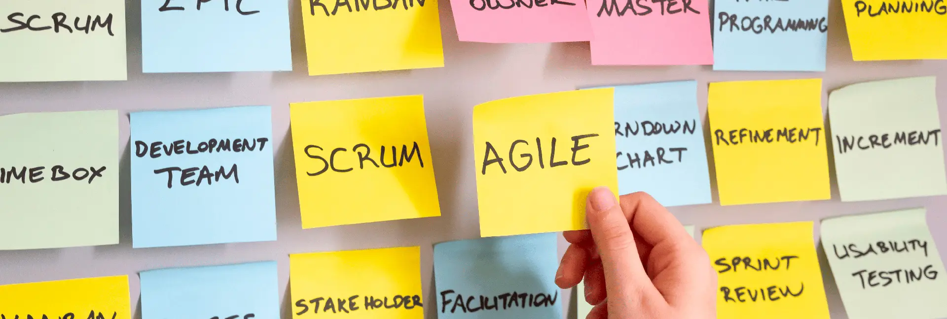 Agile Project Management Techniques