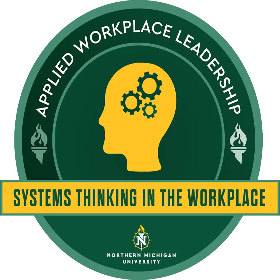 UM-MT – Model Thinking