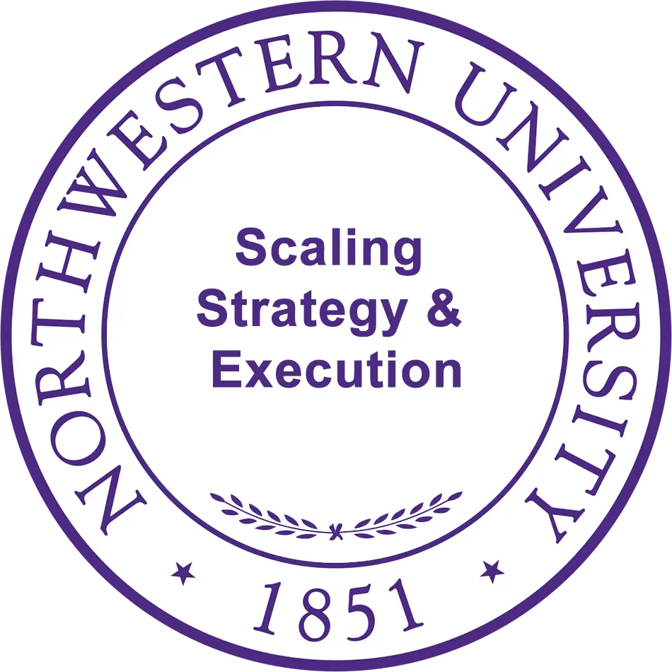 NU-SSE – Scaling Strategy & Execution